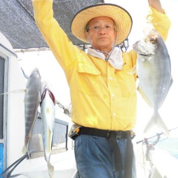 土佐安芸のハマちゃんの釣果