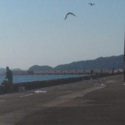 メジロサイズまでいかない