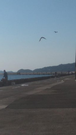 メジロサイズまでいかない