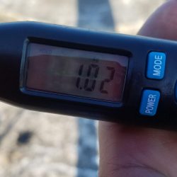 アオリ調査！！