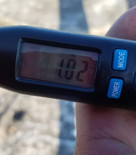 アオリ調査！！