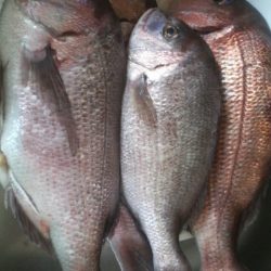 選択ミス？実力不足？