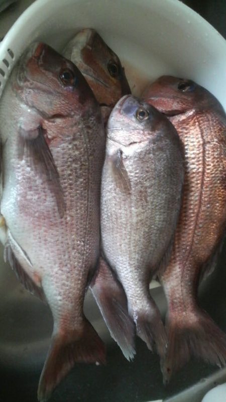 選択ミス？実力不足？