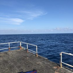 きらがわ漁場にて