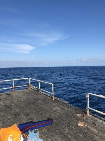 きらがわ漁場にて