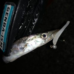 ライトワインドでカマスゲーム