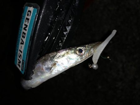 ライトワインドでカマスゲーム