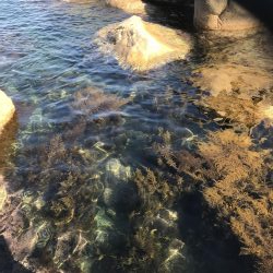 根魚絶好調です！