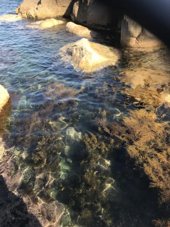 根魚絶好調です！