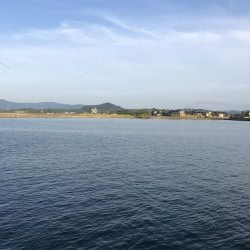 サビキVSアジング