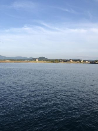 サビキVSアジング