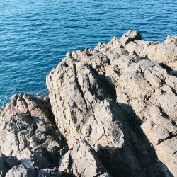 ロックフィッシング