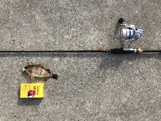 玉には餌でのんびりと