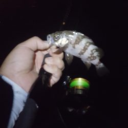 良いサイズが出ない！