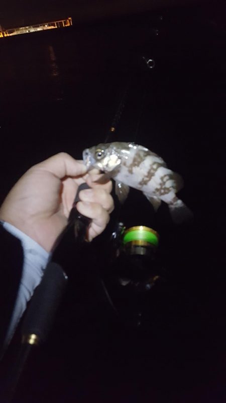 良いサイズが出ない！