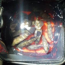 短時間メバリング