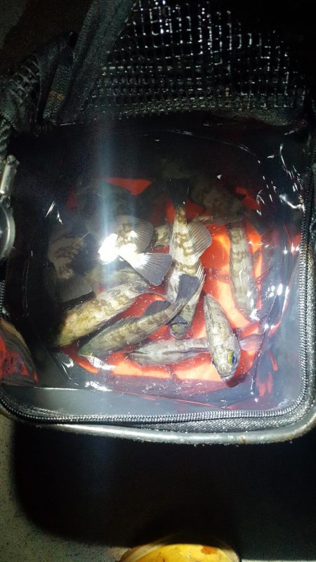 短時間メバリング