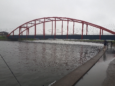 梅雨の釣行