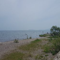 やっとやっとやっとの♪