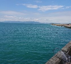 これは…、一体！？（´ 3｀)