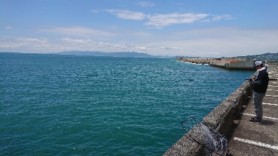 これは…、一体！？（´ 3｀)