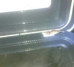 gashiland 2 ~endless rain~