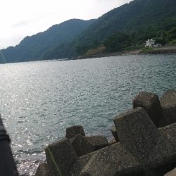 春イカ最終釣行  ２日目