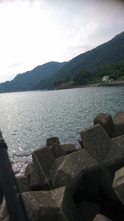 春イカ最終釣行  ２日目