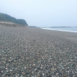 仁淀川河口周辺サーフ ライトショアジギング