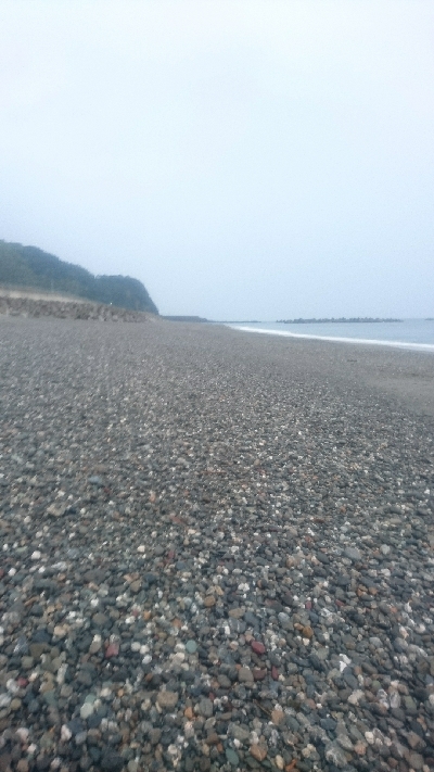 仁淀川河口周辺サーフ ライトショアジギング