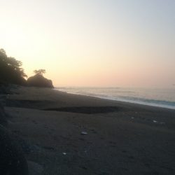 桂浜周辺サーフ ショアジギング