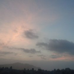 仁淀川河口周辺サーフライトショアジギング