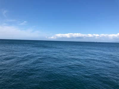 青物渋い、根魚も渋かった（ ;  ; ）