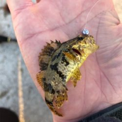 サイズが‥‥‥。