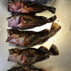 夜釣りでストレス発散