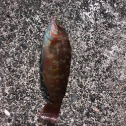 アーミーベイト。