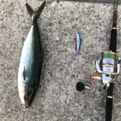 今シーズン初！