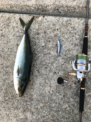 今シーズン初！