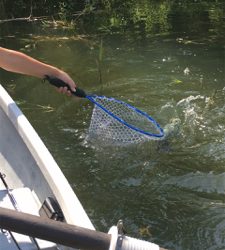 梅雨入り前の晴天釣行