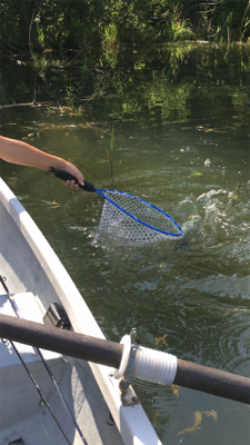 梅雨入り前の晴天釣行