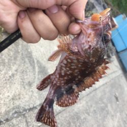 グループ釣行（22時間釣り）