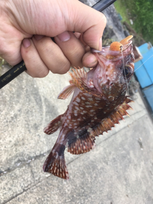 グループ釣行（22時間釣り）