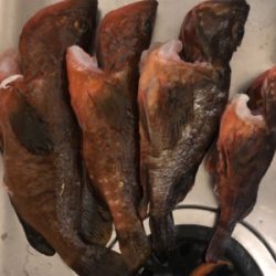 日に日に大きく