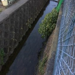 仕事終わりにドシャローエリアで