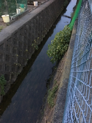 仕事終わりにドシャローエリアで