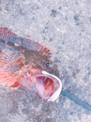 船仕掛けアレンジ