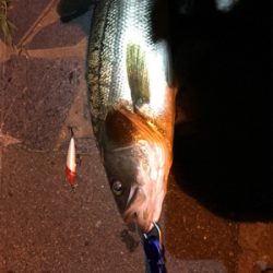 自己ベスト更新!