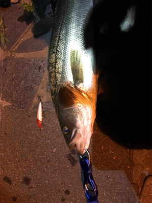 自己ベスト更新!