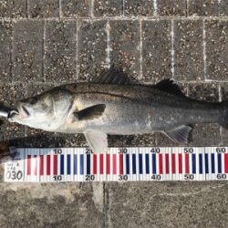 徹夜回避の朝から3本