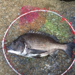 バイトラッシュ！